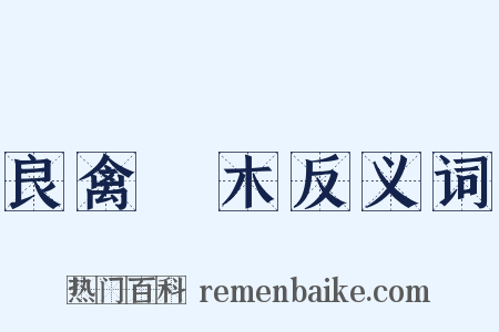 良禽擇木反义词是什么意思的图片